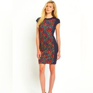 Ted Baker Luski  Cherry Print Panel Body Dress